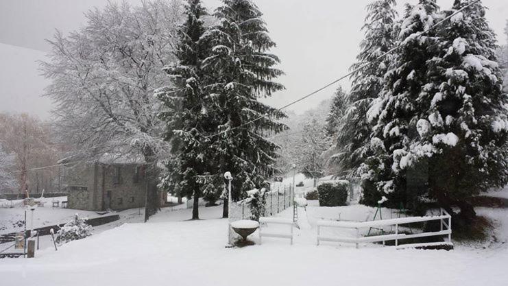 Nouveau Mirabeau Bellagio Bagian luar foto